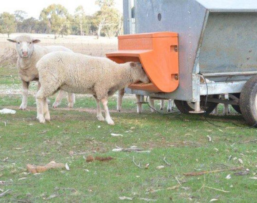 Mineral Attachment Advantage Feeders