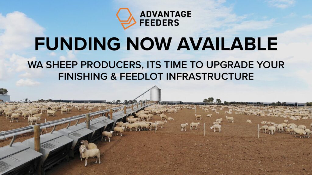 Blog - WA Grant Now Open