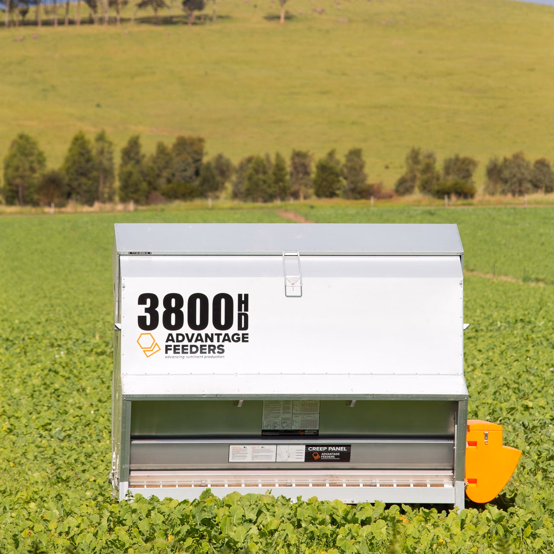 Advantage Feeders 3800HD grain feeder standing in a green paddock.