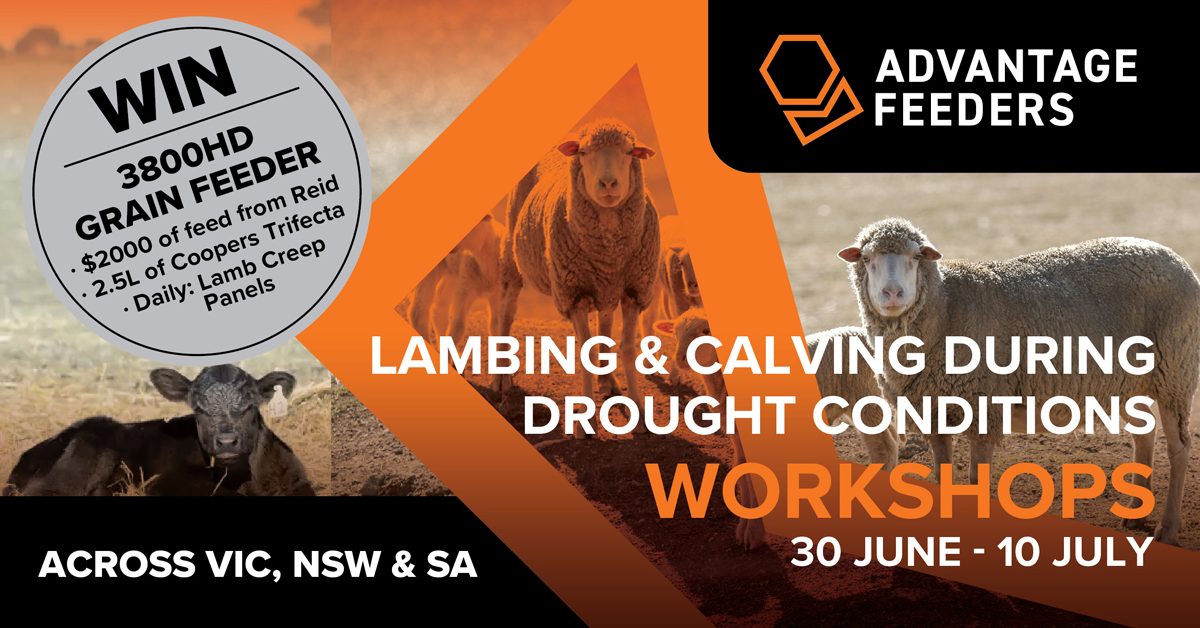 AF_2025-June_Workshops_Facebook